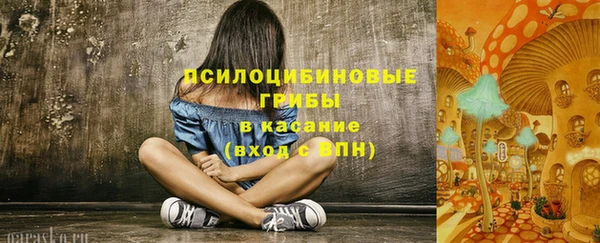 Альфа ПВП Аркадак