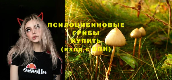 мескалин Армянск