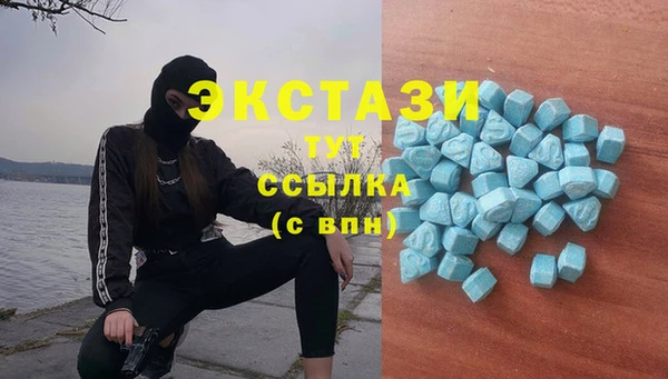 Альфа ПВП Аркадак