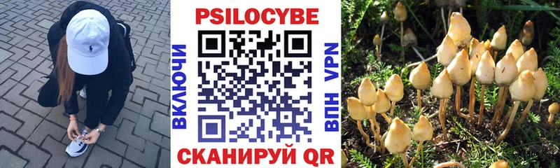 Галлюциногенные грибы ЛСД  Дедовск 